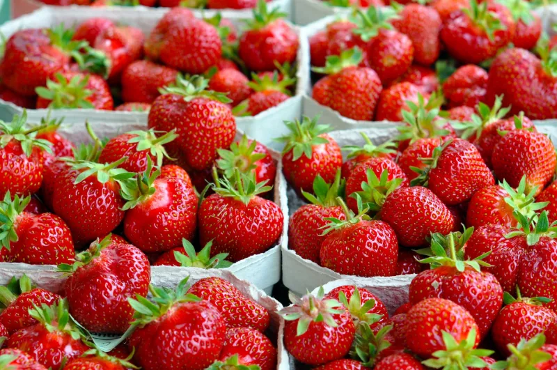 Erdbeeren Hausner Erdbeerfelder